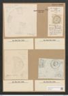 Campylodiscus clypeus Ehr. (de-Toni-Nr.: Genus 57, Species 2452) Zeichnungen Sammlung Grunow Nr. 4937 (NHMW-BOT-W0373150)